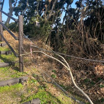 ここから、妙見山へ