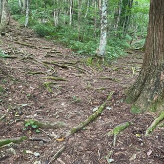 巨岩は左手。まずは右側の山頂目指します。