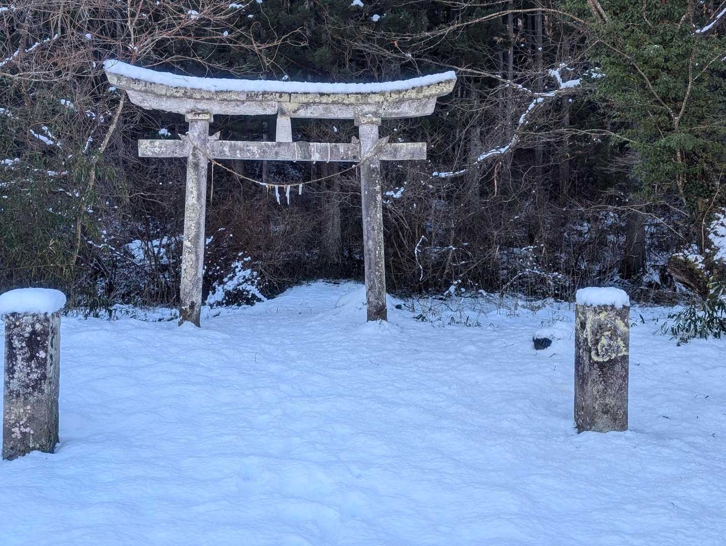 よろしくお願いします✨