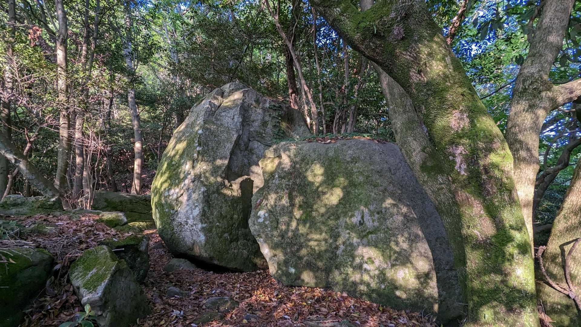 水分神社登山口-呉娑々宇山 往復コースの写真