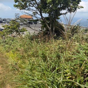 駐車場に戻ってきた