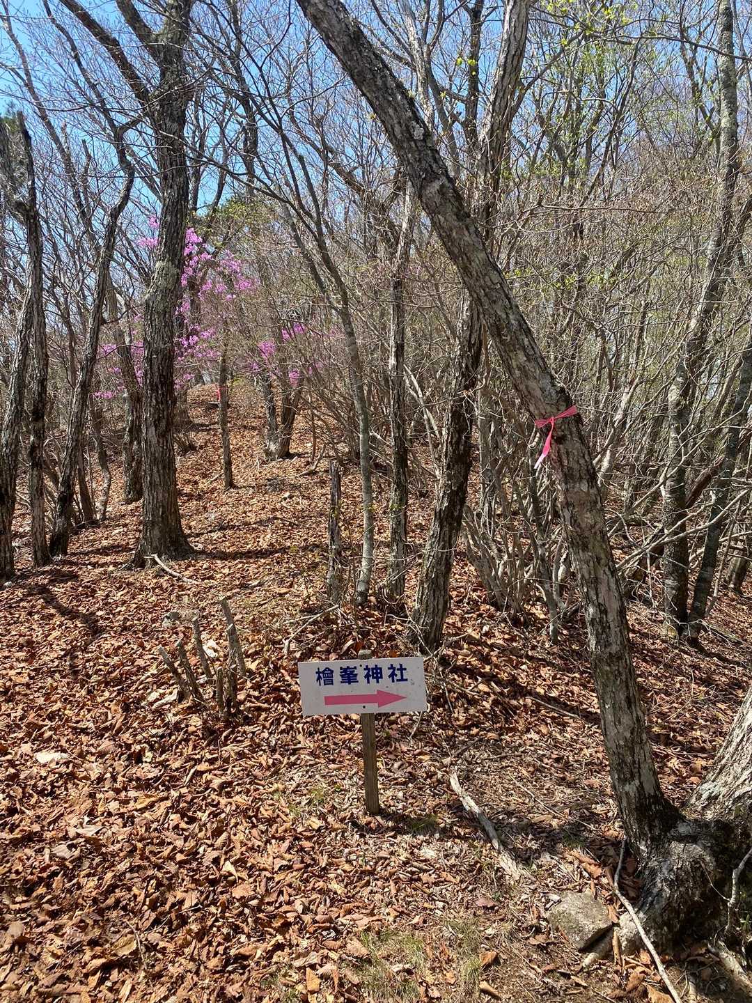 初心者🔰はこっちから降りなさいと書いてあったのでその指示に従う🫡