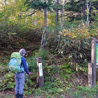 看板があり登山道が始まります。