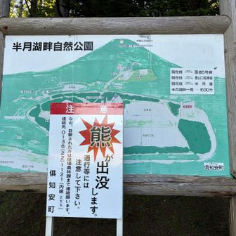 クマ出没注意⚠️