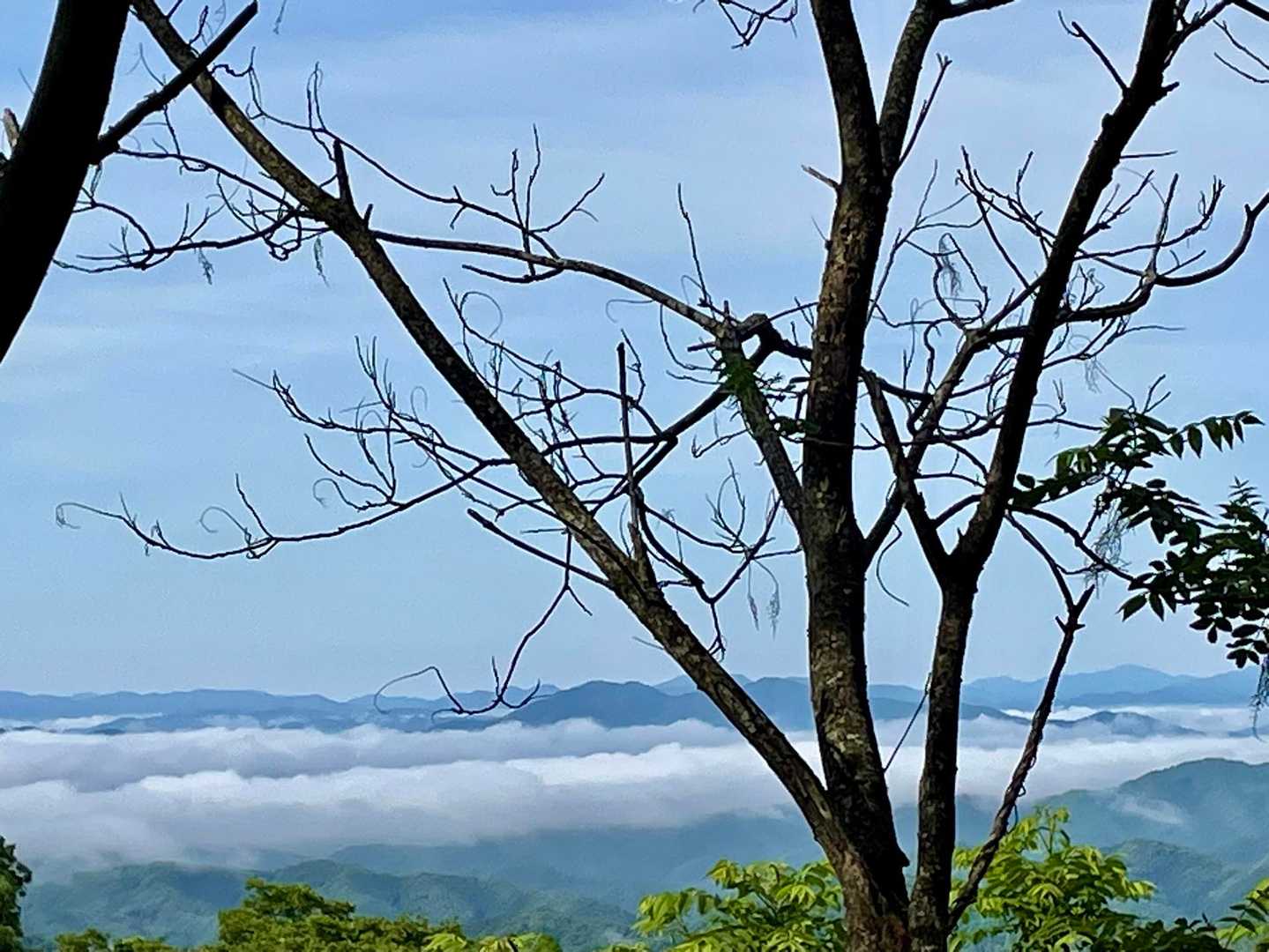 福知山方面は雲海にすっぽりと覆われていた❗️
この時期に雲海が見れるなんてラッキー✌️