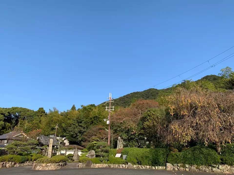 高安山の写真