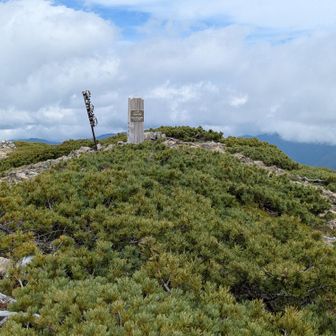 上河内岳山頂
