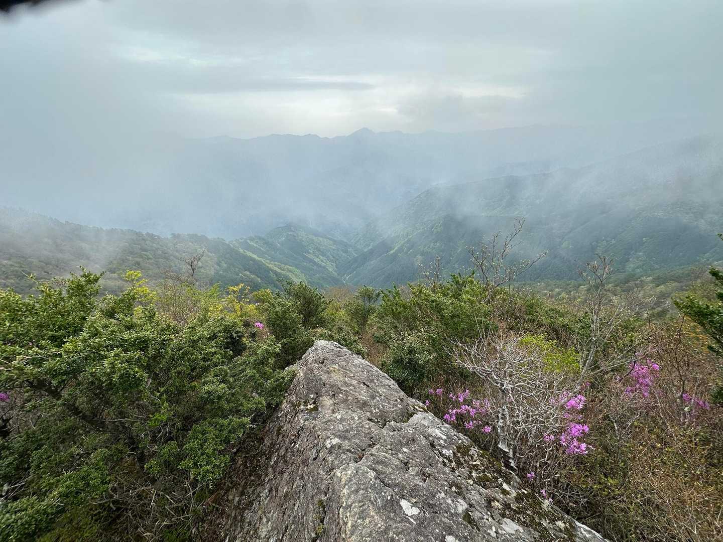 赤星山-豊受山 周回コースの写真