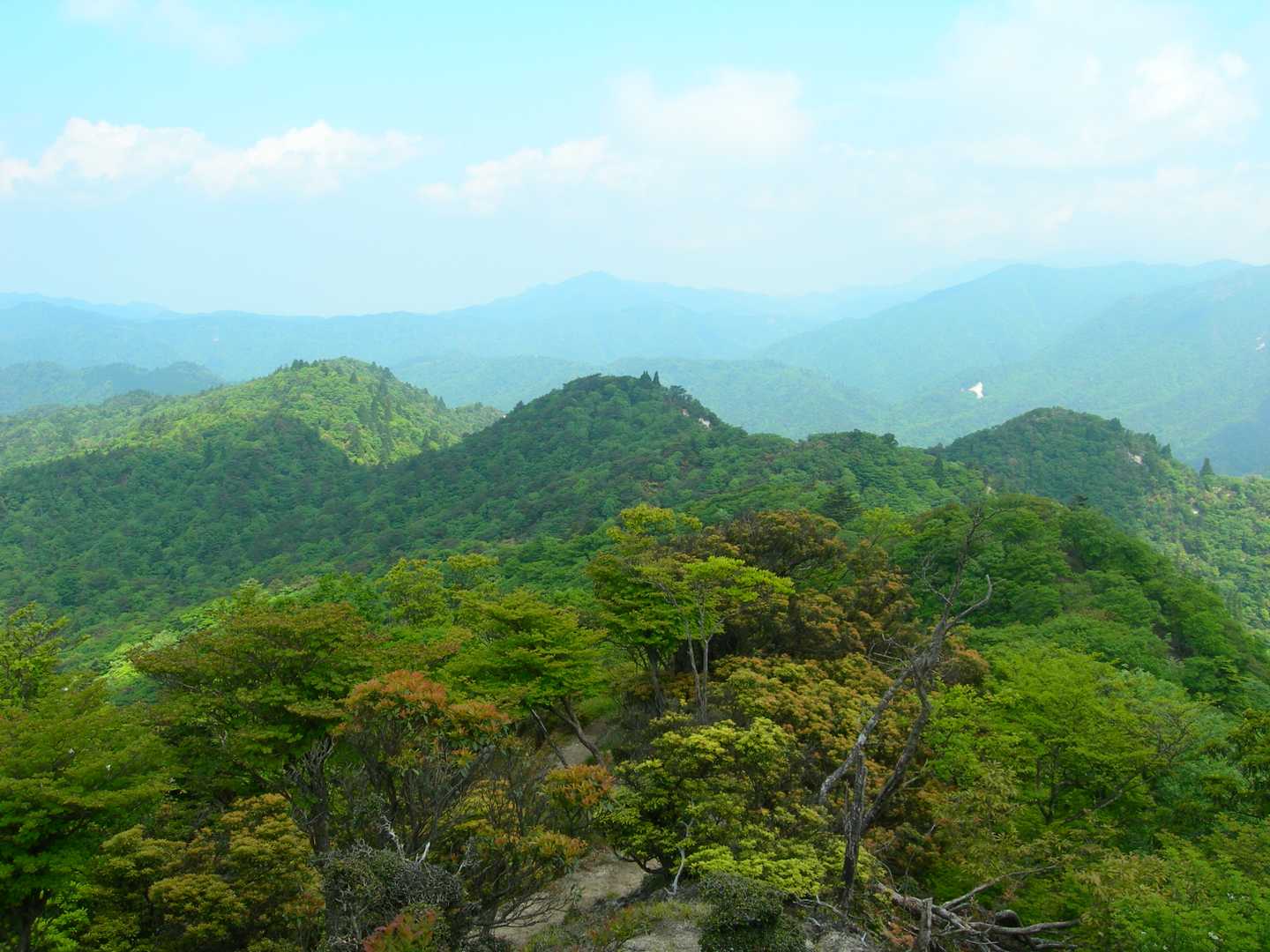 石榑峠-三池岳-八風峠-北仙香山-中峠 往復コースの写真