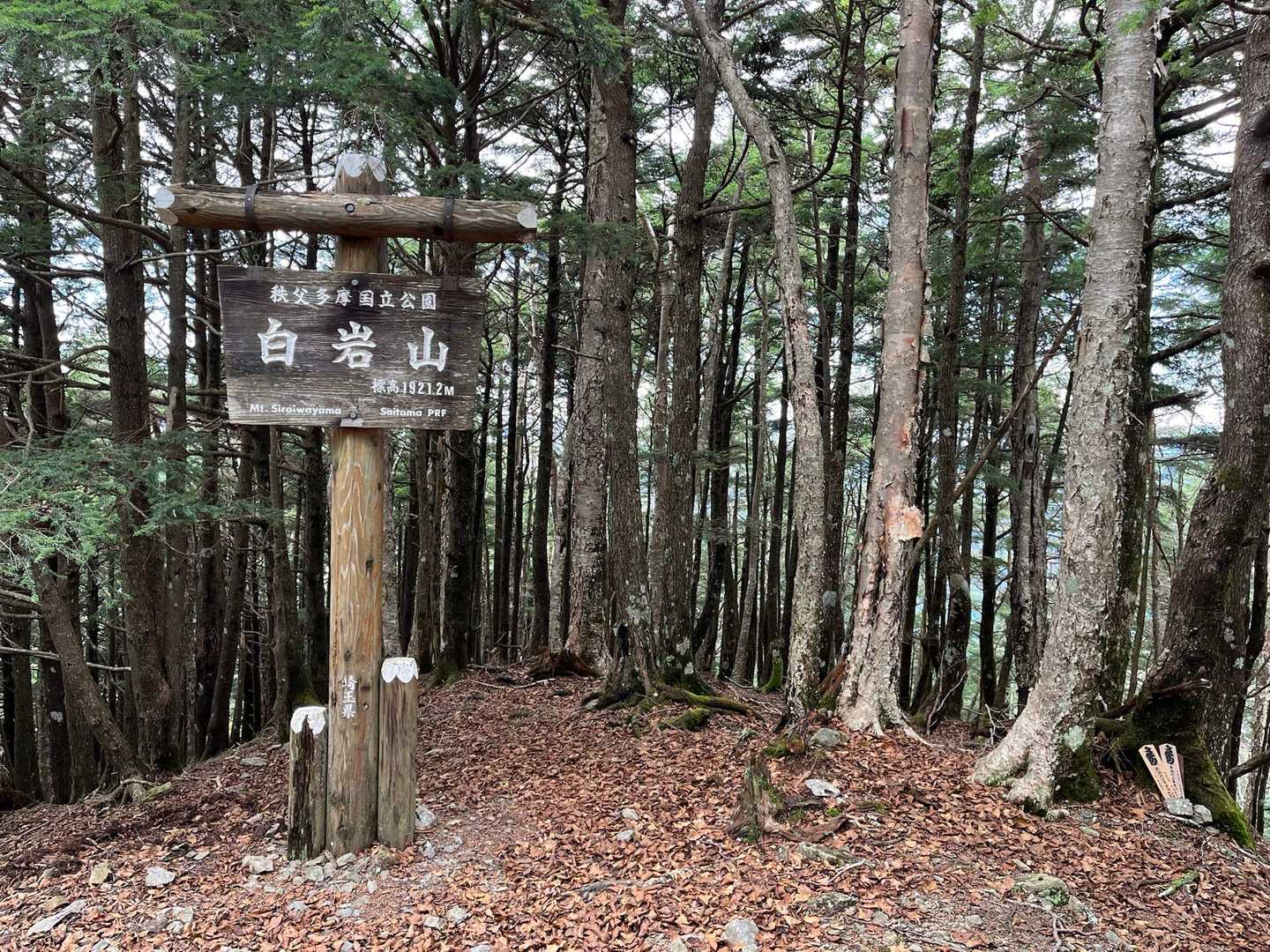 白岩山到着。霧藻ヶ峰から降って、お清平から先はアップダウンがきつくしっなりあって、白岩の肩→前白岩→白岩山とここまで長く感じた。