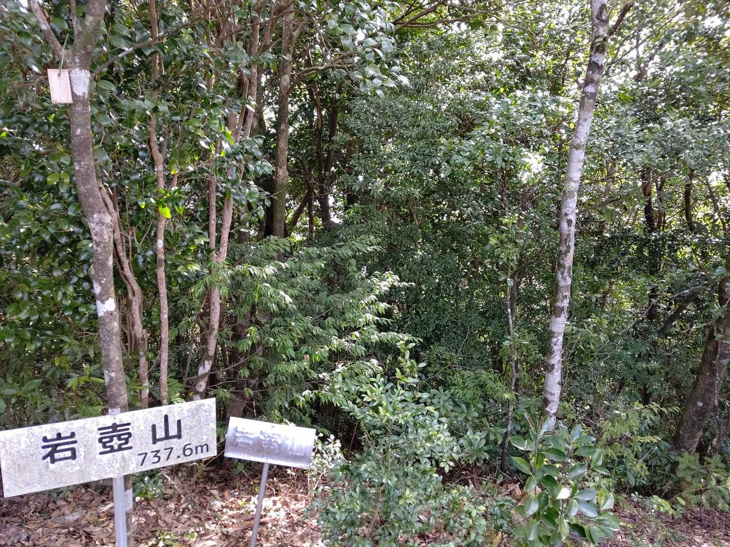 山頂