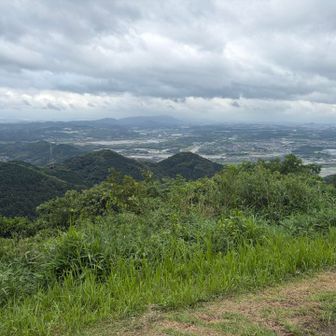 樹林帯だしそんな濡れんやろと思ってた朝の自分ビンタしたい