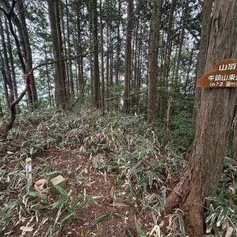 牛頭山東峰（672m）
三等三角点（牛頭山）
分岐より20m程で頂上の到達。
眺望はほぼ無く長居は出来ないので鼻神山へ
