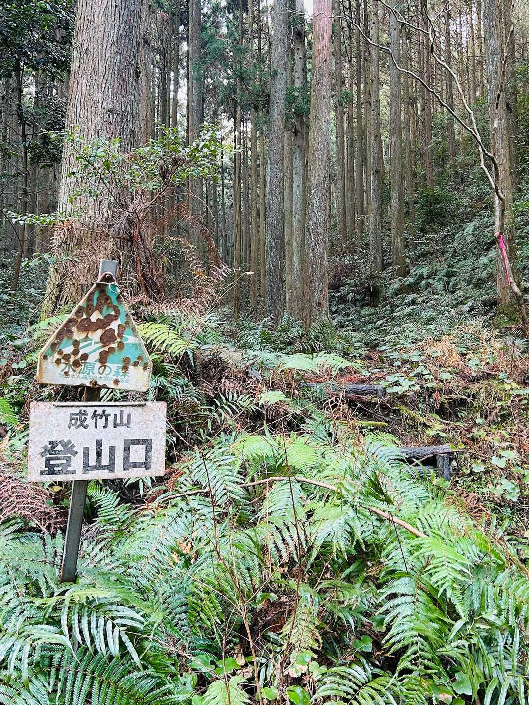 いざ成竹山へ😁