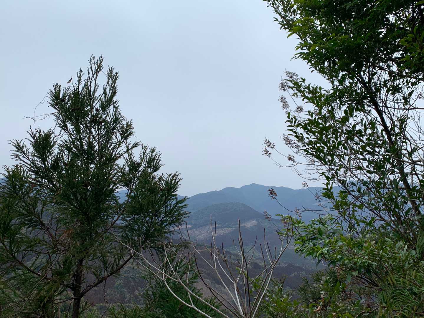 登山開始1分でこの高度😅