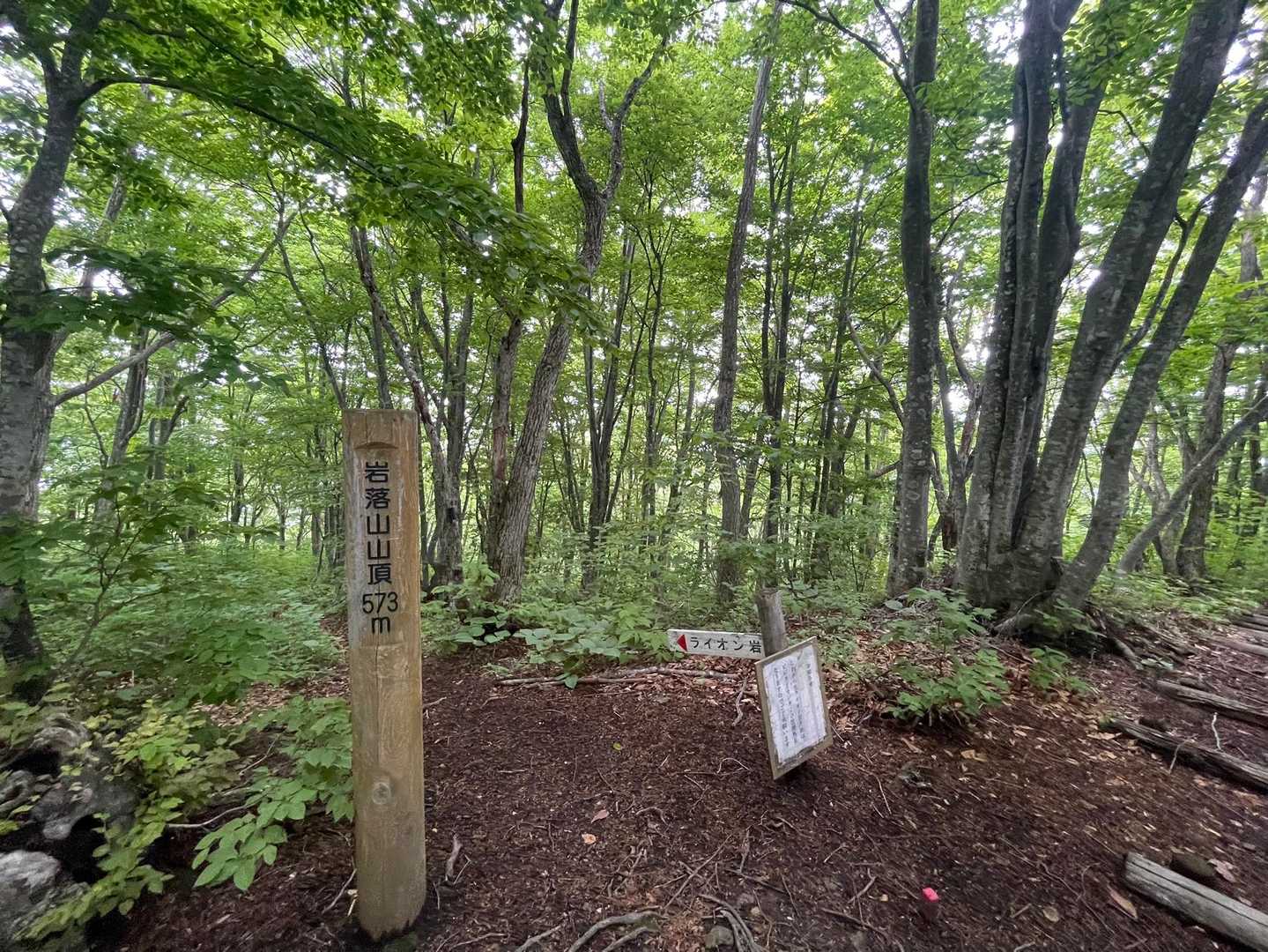 岩落山山頂到着