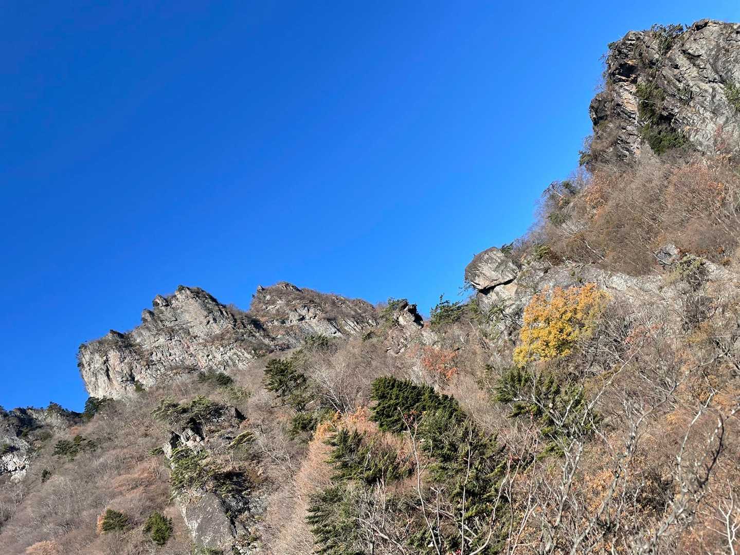 どれが今日の山！？