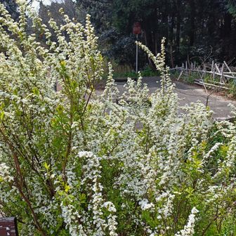 霊山の南登山口