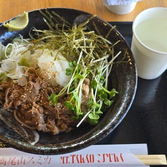 冷やし肉蕎麦😍