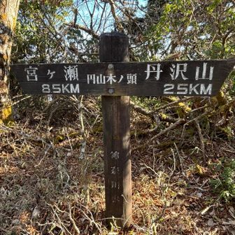 丹沢三峰中峰『円山木ノ頭』