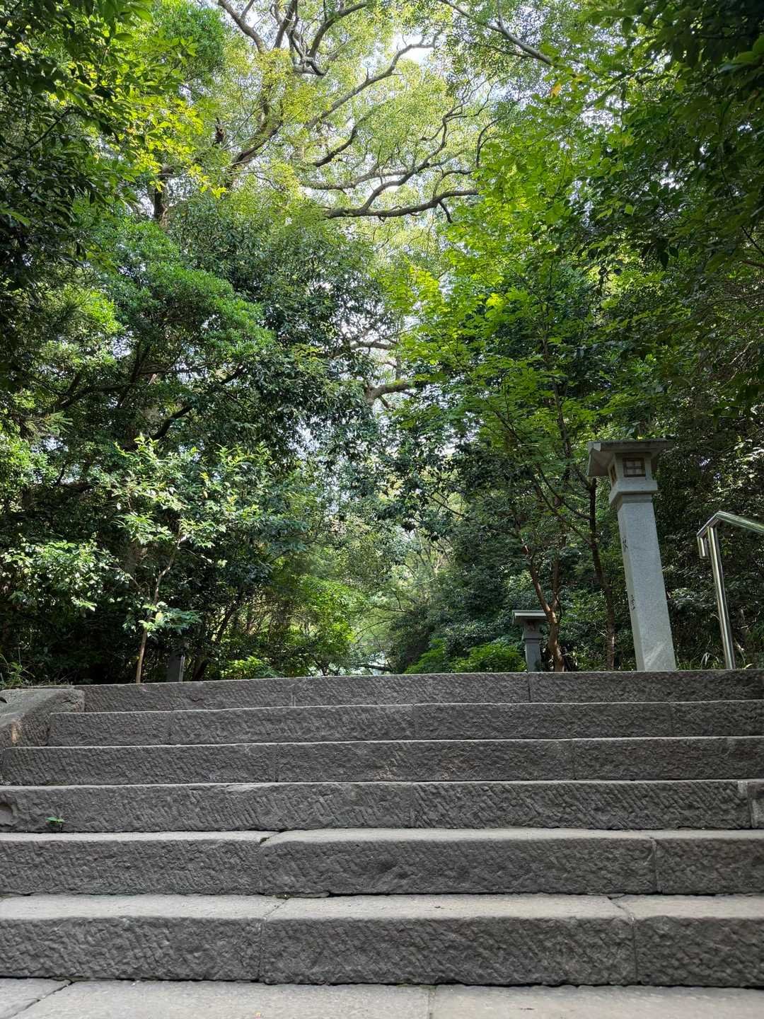 浅間神社登山口-浅間山-賤機山-茶臼山 往復コースの写真