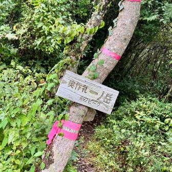 急登一気にで⛰️一ノ岳…897本日最高点