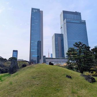 根府川山⛰️
護岸工事で登れず💦