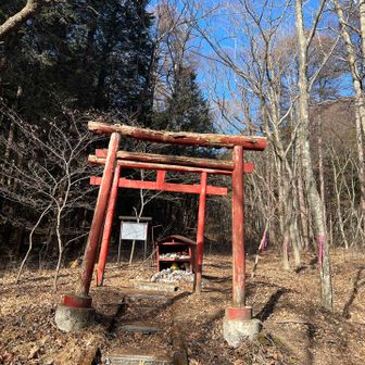 陶器のキツネ🦊がいっぱい供えられてた
