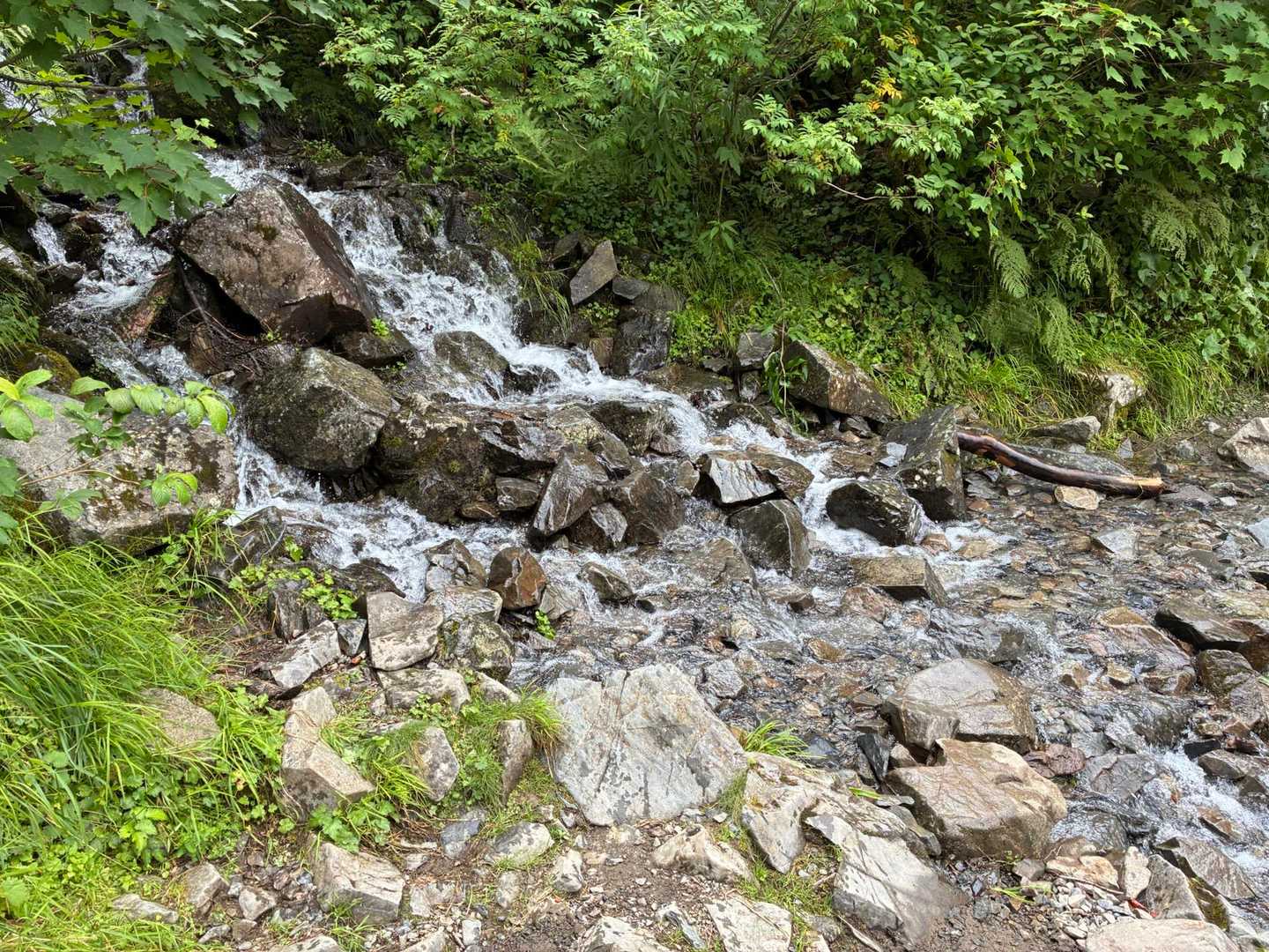 沢で頭から水かぶってクールダウン🤗