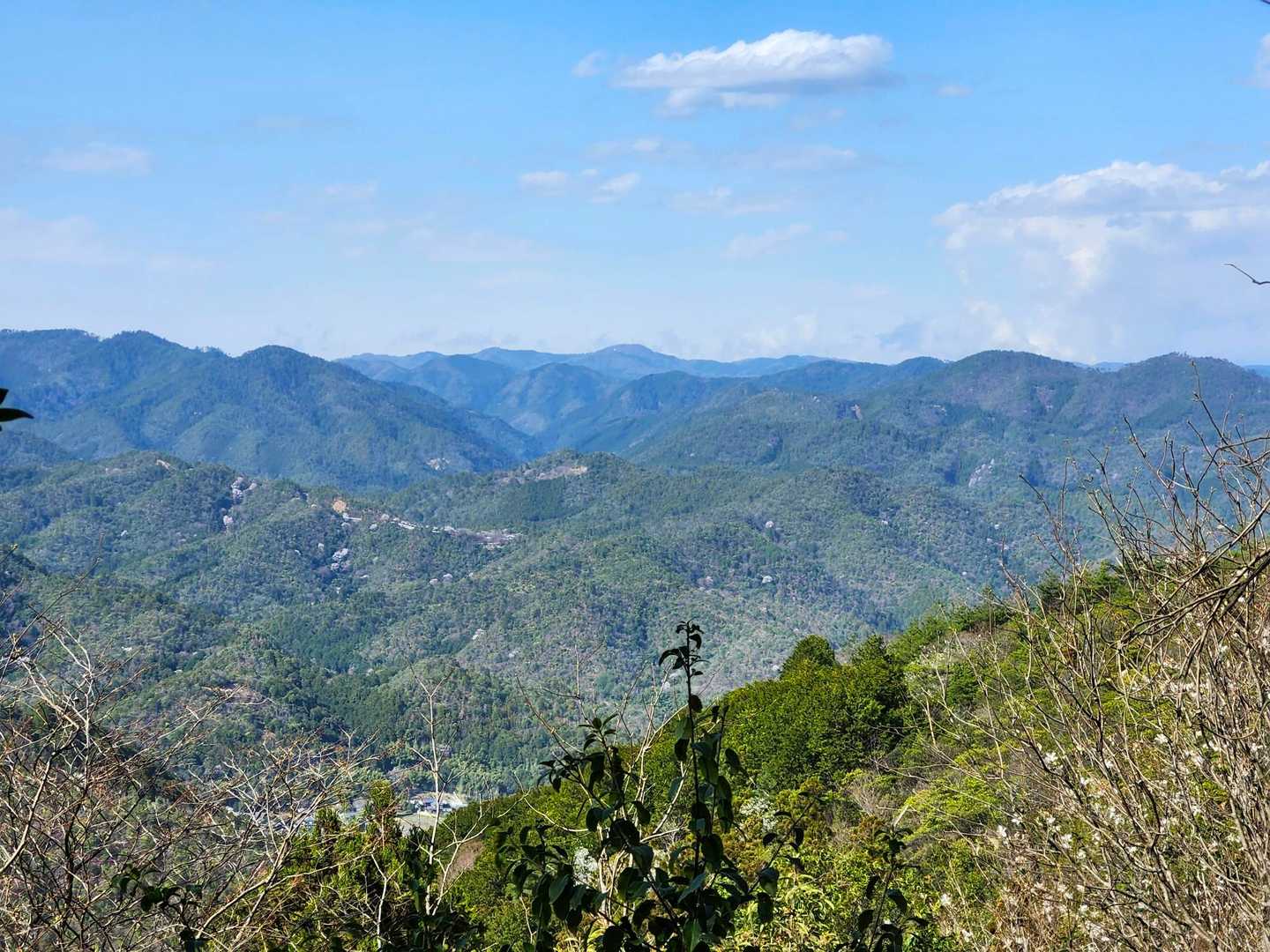 保津峡駅-保津峡登山口-トロッコ保津峡駅-新烏ヶ岳-烏ヶ岳 縦走コースの写真