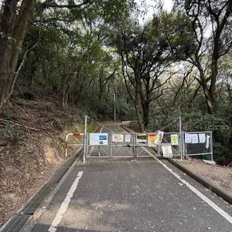 左から進入します🫲