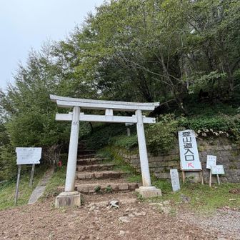 四合目まで降りて来ました。
しばらくは林道歩きで膝と太腿が休憩できます🤗