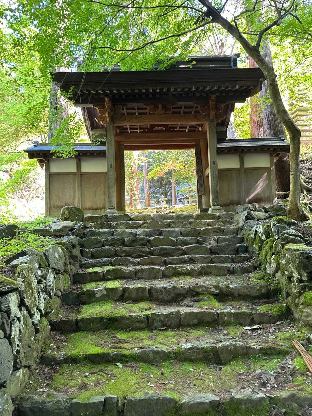 良いねー!