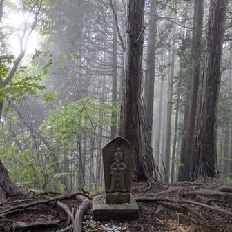 きれいに置きたい。