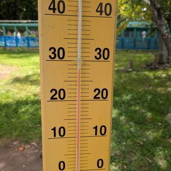 14時で28℃