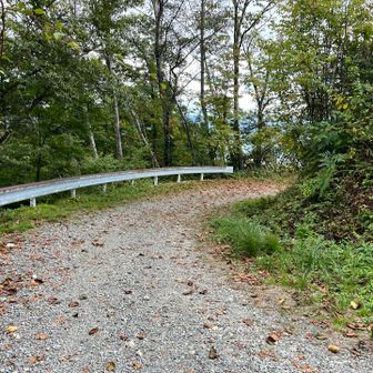 この道か？と思っていたら、登山道があったのでそちらから下りました