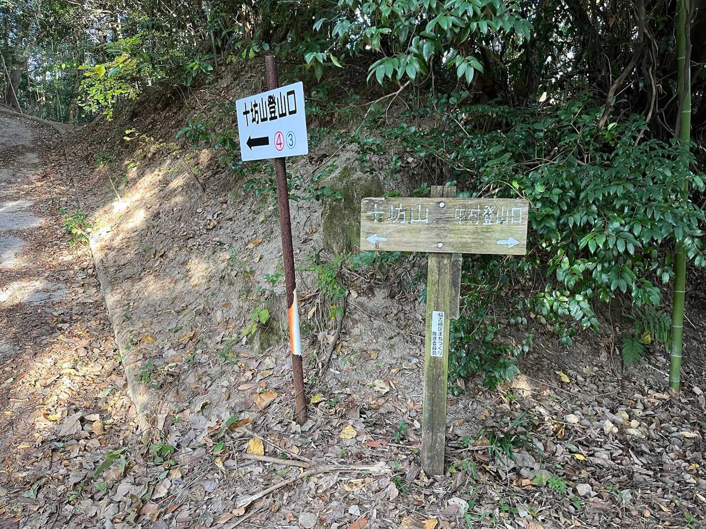 いよいよ山道へ、、