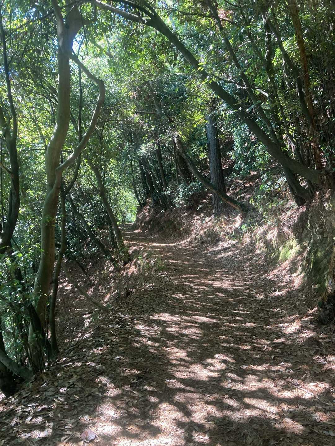 久々の山歩き👌
