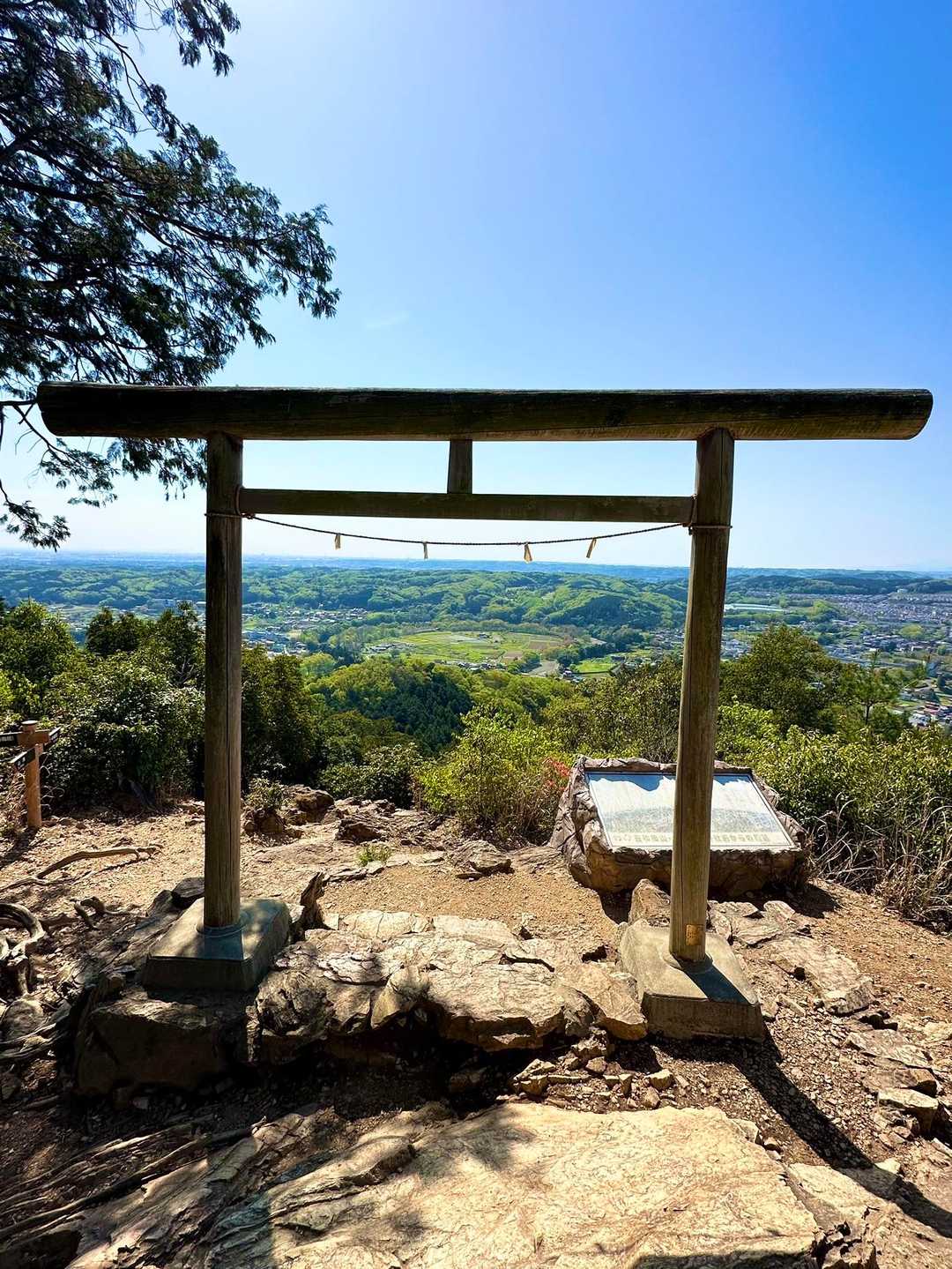 鳥居⛩の中から巾着田。いい眺め✨
