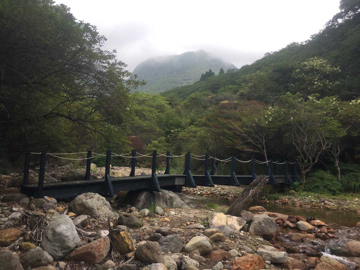 赤川登山口-久住山 往復コースの写真