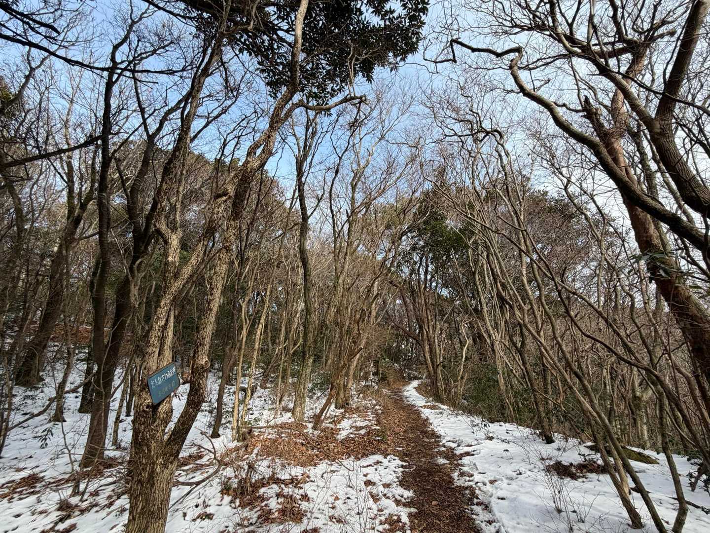 朝は曇り空だったけど 晴れた✌️