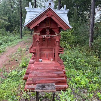 愛宕山に登頂
背中の痛みが増してきて、胸が息苦しくなって来たので、今日はここまでにし急いで下山だ。