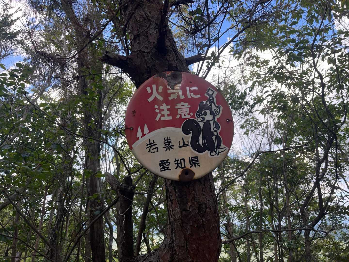 岩巣山山頂⛰️

東海自然歩道の分岐から岩巣山までのザレザレは、本当に気をつけなきゃ滑って転ぶわ⚠️