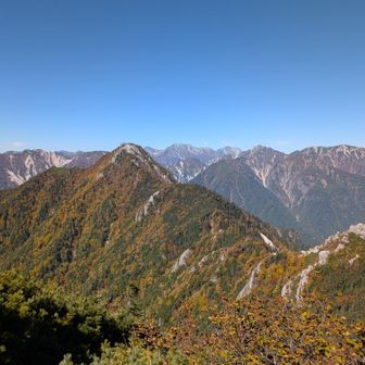 唐沢岳の辺りは所々かなりのハイマツ漕ぎ🌲だそうです。