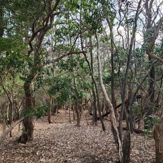 眺望無し😫帰ります

慎重に下山します