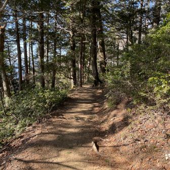 ご褒美きたーーー