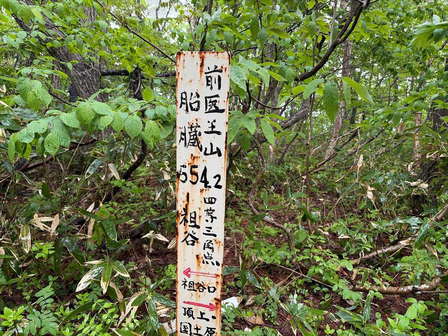 胎蔵-前医王山-三千坊 周回コースの写真