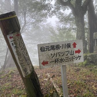 分岐、右のコースは通行止