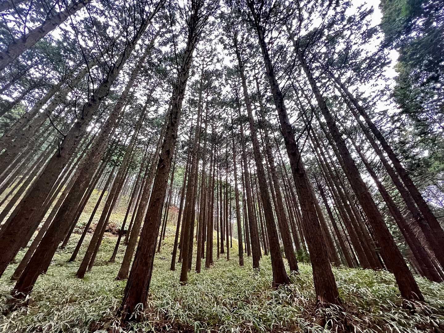 次は巴山へ向かいます。