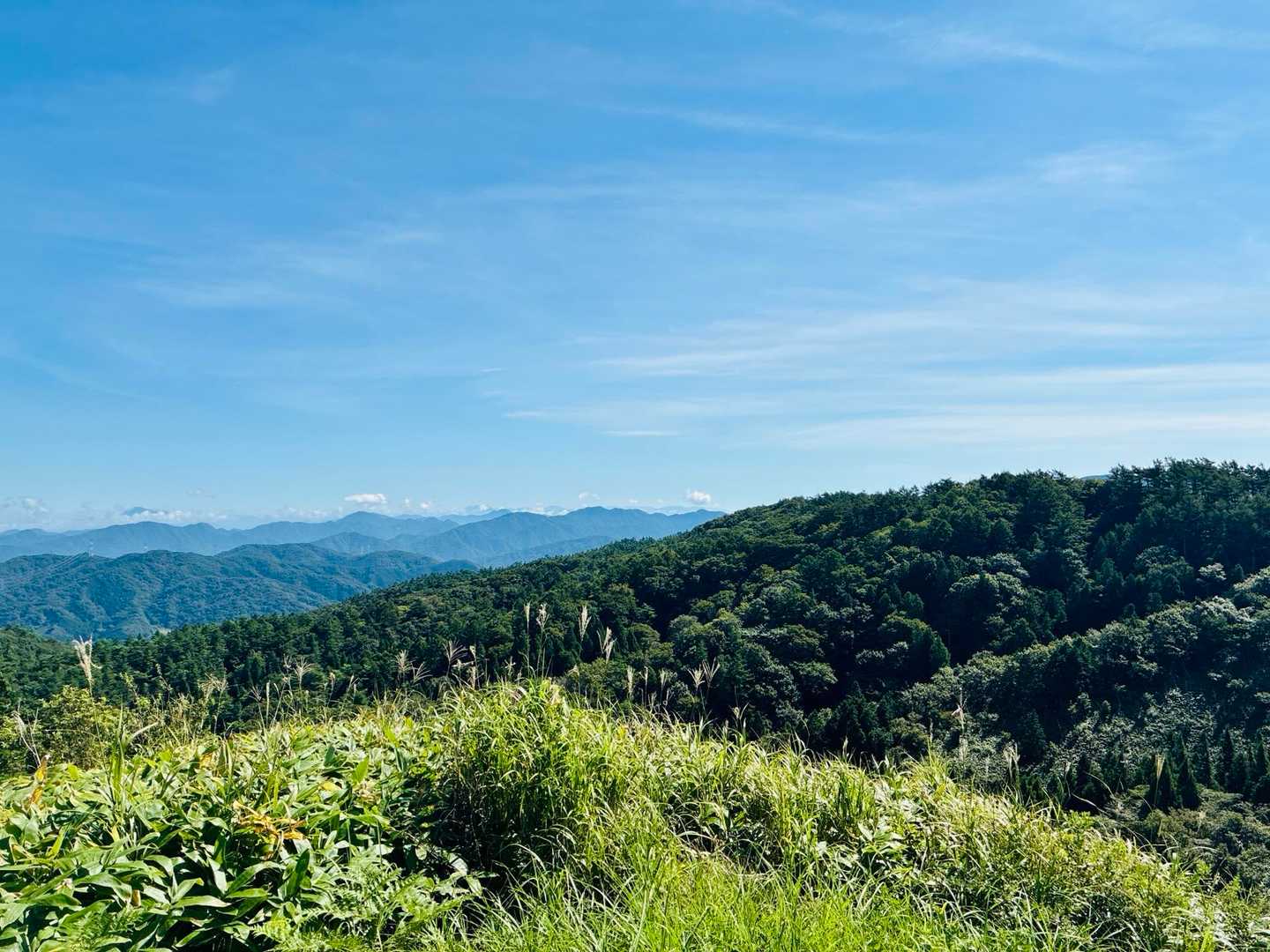 高山
山頂プレートありません😞
今日は空気が澄んでいたので大山まで見えました✨